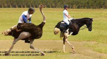 10 Most Unusual Sports From Around The World