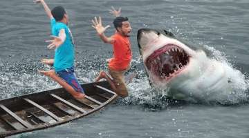 Shark Attack Man In Sea Fishing Boat | Fun Made Shark Movie By Wild Fighter