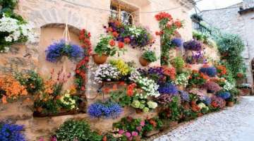 Top 80 Hanging Flower Planter Ideas