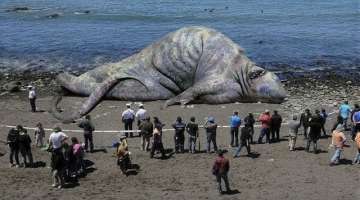 10 Strangest Things Washed Up on Beaches