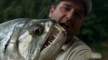 14 Biggest River Monsters Ever Caught